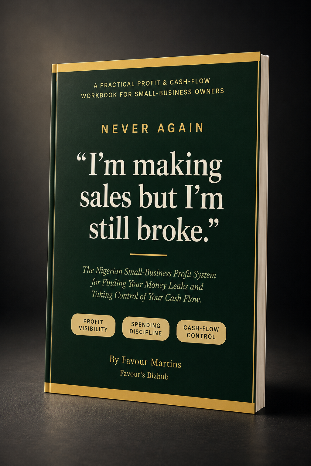 NEVER AGAIN workbook mockup