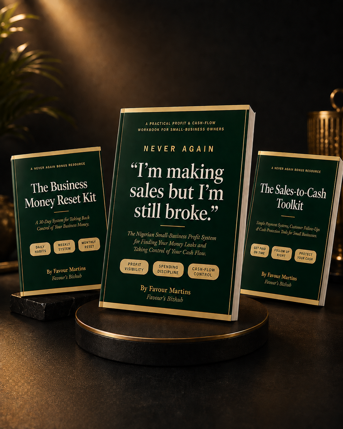 NEVER AGAIN plus both bonuses bundle mockup